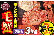 【令和8年発送先行予約】【訳あり】三陸産 活毛ガニ 3kg【08】【2026年2月～4月発送】