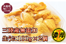 【令和8年発送先行予約】天然生うに 100g×2個【2026年5月上旬～8月発送】【05】