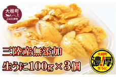 【令和8年発送先行予約】天然生うに 100g×3個【2026年5月上旬～8月発送】【05】