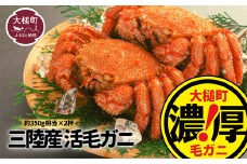【令和8年発送】三陸産 活毛ガニ(約350g相当×2杯)【03】【2026年3月～5月発送】
