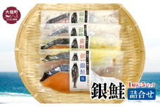 【大槌サーモン】銀鮭 詰合せ 1切入×5パック