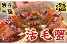 【令和8年発送】岩手三陸産【活毛蟹】| 300g×2【2026年2月～4月発送】【15】新鮮の極 | 毛がに 毛かに