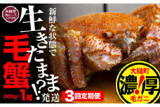 【令和8年発送先行予約】【3回定期便】三陸産！活毛ガニ 300g相当×1杯【08】 【2026年2月～4月発送】