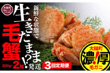 【令和8年発送先行予約】【3回定期便】三陸産！活毛ガニ 300g相当×2杯【08】 【2026年2月～4月発送】