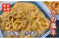 自家製 いか塩辛 360g (90g×4個)【15】