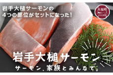 【岩手大槌サーモン】～家族とみんなで～ 700g～800g｜サーモン国産 刺身 小分け サーモン 冷凍 岩手県 大槌町