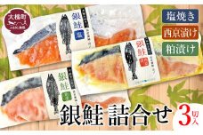 【大槌サーモン銀鮭】 3種 味比べ （甘塩・西京漬け 粕漬け）1切入×3パック（クラフトパック入り）｜サーモン 国産 サーモン切り身 冷凍 小分け 詰め合わせ セット ご当地サーモン 国産 食べ比べ