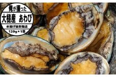 【2025年11月～発送】三陸産天然活あわび 120g相当×1個【冷蔵】【35】｜11月～12月発送 三陸 岩手県 大槌町 あわび 人気 鮑 刺身 いわて iwate 初栄丸