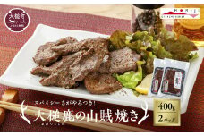 【失敗なし！焼くだけ簡単スパイシー】大槌鹿の山賊焼き 400g【やみつきの味】岩手県産 天然鹿 鹿肉 味付肉 山賊焼 ジビエ ヘルシー 低カロリー つまみ あて おかず ご飯のお供 赤身 冷凍 加工肉 ギフト