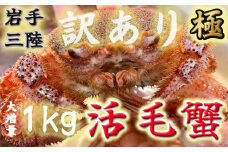 【令和8年発送先行予約】【訳あり】三陸産！活毛ガニ1kg (2～4杯(尾))【2026年2月～4月発送】【15】