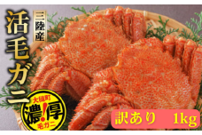 【期間限定！令和8年3月～4月発送】訳アリ三陸産活毛ガニ 1kg 【35】天然 国産 冷蔵 三陸 直送 濃厚 かに 蟹 カニ 毛ガニ 毛蟹 毛がに 初栄丸