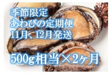 【2ヶ月定期便】アワビ 約500g (4個前後) ※アワビヘラ＆軍手付き※【期間限定】【35】 三陸 岩手県 大槌町 あわび 人気 鮑 刺身 いわて iwate 2025 初栄丸