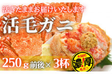 【令和8年発送】三陸産 三陸活毛ガニ 250g×3杯【2026年3月～4月発送】【05】　