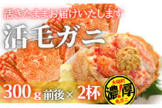 【令和8年発送】三陸産 三陸活毛ガニ 300g×2杯【2026年3月～4月発送】【05】