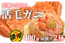 【令和8年発送】三陸産 三陸活毛ガニ 400g×2杯【2026年3月～4月発送】【05】