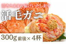【令和8年発送】三陸産 三陸活毛ガニ 300g×4杯【2026年3月～4月発送】【05】
