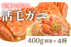 【令和8年発送】三陸産 三陸活毛ガニ 400g×4杯【2026年3月～4月発送】【05】