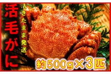 【令和8年発送】三陸産 三陸活毛ガニ 500g×3杯【2026年3月～4月発送】【05】