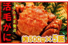 【令和8年発送】三陸産 三陸活毛ガニ 500g×5杯【2026年3月～4月発送】【05】