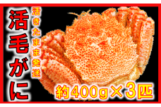 【令和8年発送】三陸産 三陸活毛ガニ 400g×3杯【2026年3月～4月発送】【05】