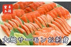 大槌サーモン【刺身】10人前：700g | 三陸産 真空冷凍【15】　
