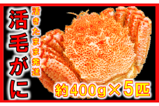 【令和8年発送】三陸産 三陸活毛ガニ400g×5杯【2026年3月～4月発送】【05】