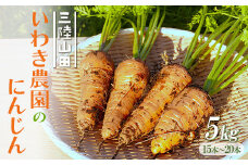 いわき農園のにんじん 5kgセット 人参 向陽 野菜 三陸山田  YD-670