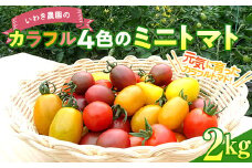 【寄付受付本日まで  】いわき農園のカラフル4色のミニトマト 2kg ≪7月中旬～8月中旬発送≫ 三陸山田 山田町 野菜 夏野菜 プレミアムルビー トスカーナバイオレット イエローアイコ オレンジなつめっ娘 【配送日指定不可】 YD-664