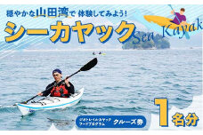 山田湾シーカヤック クルーズ券 1名分【ジオトレイル カヤック フードプログラム】三陸山田 山田町 海 釣り 体験 マリンスポーツ マリンツーリズム マリンレジャー Geotrail EFRICA  APIA YD-678