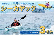 山田湾シーカヤック クルーズ券 3名分【ジオトレイル カヤック フードプログラム】三陸山田 山田町 海 釣り 体験 マリンスポーツ マリンツーリズム マリンレジャー Geotrail EFRICA  APIA YD-680