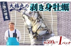 大福丸の剥き身牡蠣 約500g×1パック【三陸山田産】【沖縄・離島配送不可】三陸山田 山田町 山田湾 海産品 かき YD-723
