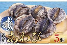 三陸山田産養殖あわび約48g×5個【船越湾漁業協同組合】【配送日指定不可】【沖縄・離島配送不可】山田町 海産品 三陸産 船越湾 鮑 YD-746