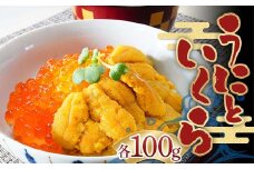 川秀のウニ＆イクラセット（各100g×1パック） 三陸山田 山田町 ウニ 雲丹 海産品 通年 沖縄離島配送可 冷凍ウニ 冷凍イクラ 醤油イクラ YD-754