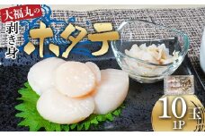 大福丸の剥き身ホタテ10玉×1パック 【三陸山田産】【配送日指定不可】【沖縄・離島配送不可】三陸山田 山田町 山田湾 海産品 帆立 二枚貝 YD-776