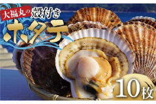 大福丸の殻付きホタテ10枚 【三陸山田産】【配送日指定不可】【沖縄・離島配送不可】 三陸山田 山田町 山田湾 海産品 帆立 二枚貝 YD-782
