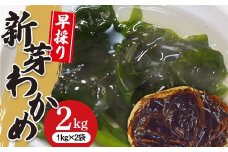 《R7年2月発送》早採りわかめ1kg×2袋【三陸山田漁協】【配送日指定不可】【沖縄・離島配送不可】 山田町 岩手県山田町 海産品 三陸産 しゃぶしゃぶ 味噌汁 酢の物 海藻 YD-787
