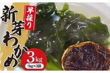 《R7年2月発送》早採りわかめ1kg×3袋【三陸山田漁協】【配送日指定不可】【沖縄・離島配送不可】 山田町 岩手県山田町 海産品 三陸産 しゃぶしゃぶ 味噌汁 酢の物 海藻 YD-788