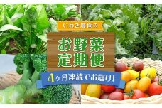 4ヶ月連続でお届け！いわき農園の新鮮お野菜定期便！【4月～7月の毎月発送】【沖縄・離島配送不可】山田町 三陸山田 農産品 農家 ほうれん草 レタス ブロッコリー ミニトマト 野菜定期便 YD-809
