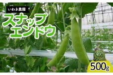 【5月中旬～6月中旬限定発送！】いわき農園のスナップエンドウ 500g 三陸山田 山田町 野菜 幸姫 有機栽培 無農薬 YD-828