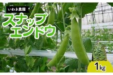 【5月中旬～6月中旬限定発送！】いわき農園のスナップエンドウ 1kg 三陸山田 山田町 野菜 幸姫 有機栽培 無農薬 YD-829