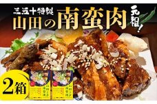 山田の三五十特製 元祖！南蛮肉×2箱 三陸山田 山田町 惣菜 豚バラ 青唐辛子 青唐辛子 YD-835