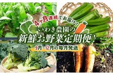 4ヶ月連続でお届け！いわき農園の新鮮お野菜定期便！【9月～12月の毎月発送】【沖縄・離島配送不可】山田町 三陸山田 農産品 農家 ほうれん草 オクラ ブロッコリー 人参 野菜定期便 YD-869