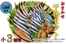 おまかせ干物セット（小）【大和水産】三陸山田 山田町 魚 魚介 干物 おかず 夕飯 詰合せ カワハギ アジ メアジ チダイ サバ イワシ サンマ タラ カレイ ムツ YD-831