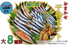 おまかせ干物セット（大）【大和水産】三陸山田 山田町 魚 魚介 干物 おかず 夕飯 詰合せ カワハギ アジ メアジ チダイ サバ イワシ サンマ タラ カレイ ムツ YD-833