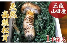 ≪2025年先行予約 9月中旬～10月下旬発送予定！≫三陸山田産 高級松茸 1本入り【ベルアクト】【配送日指定不可】 秋の味覚 三陸山田産松茸 三陸山田 山田町 まつたけ マツタケ 野菜 山田産野菜  YD-895