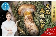 ≪2025年先行予約 9月中旬～10月下旬発送予定！≫三陸山田産 高級松茸 1本入り【ベルアクト】 秋の味覚 三陸山田産松茸 三陸山田 山田町 まつたけ マツタケ 野菜 山田産野菜  YD-895