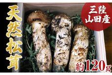 ≪2025年先行予約 9月中旬～10月下旬発送予定！≫秋の味覚 三陸山田産松茸 約120g 【配送日指定不可】 三陸山田 山田町 まつたけ マツタケ 野菜 山田産野菜 【ベルアクト】 YD-896