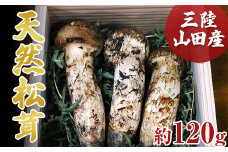 ≪2025年先行予約 9月中旬～10月下旬発送予定！≫秋の味覚 三陸山田産松茸 約120g 三陸山田 山田町 まつたけ マツタケ 野菜 山田産野菜 【ベルアクト】 YD-896