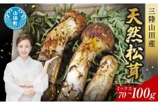 ≪2025年先行予約 9月中旬～10月下旬発送予定！≫三陸山田産松茸（ミックスサイズ） 三陸山田 山田町 まつたけ マツタケ 野菜 山田産野菜 【ベルアクト】 YD-897