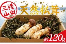 ≪2025年先行予約 9月中旬～10月下旬発送予定！≫ 大福丸の三陸山田産天然松茸 約120g【配送日指定不可】【沖縄・離島配送不可】 三陸山田 山田町 三陸産 野菜 きのこ YD-893